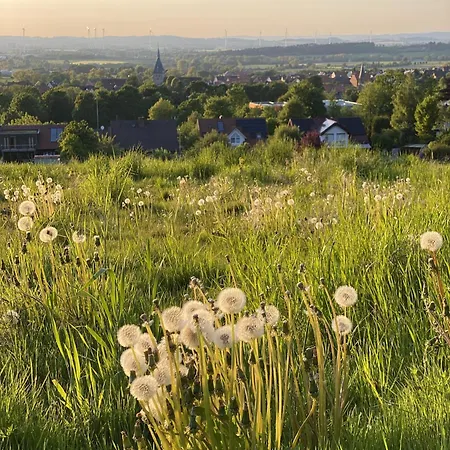 Haus 18 Im Erholung Pur In Gruener Umgebung Mit Zahlreichen Freizeitmoeglichkeiten *